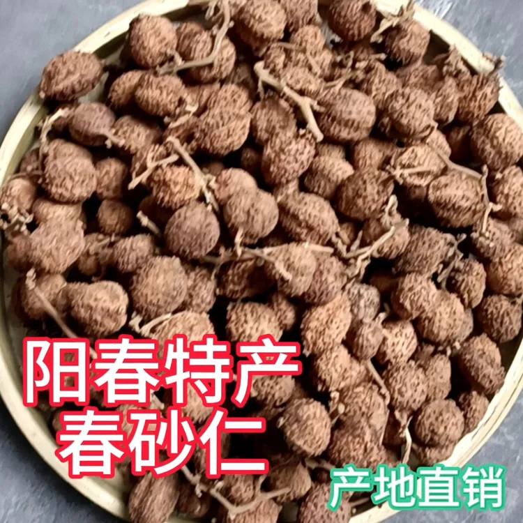 广东阳春本地带毛刺无硫砂仁粒粒饱满可养生养胃
