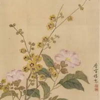 34.安徽泾县宣纸定向链接