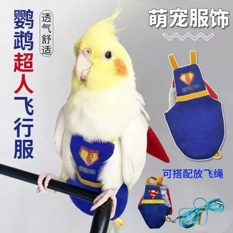 鹦鹉牡丹玄凤虎皮和尚衣服飞行服尿不湿调节