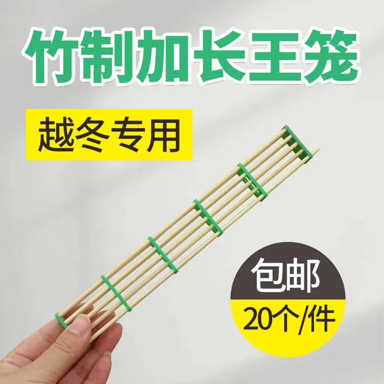 蜜蜂王笼五节加长蜂王笼意蜂竹子王笼关王盒囚王分蜂越冬专用蜂具
