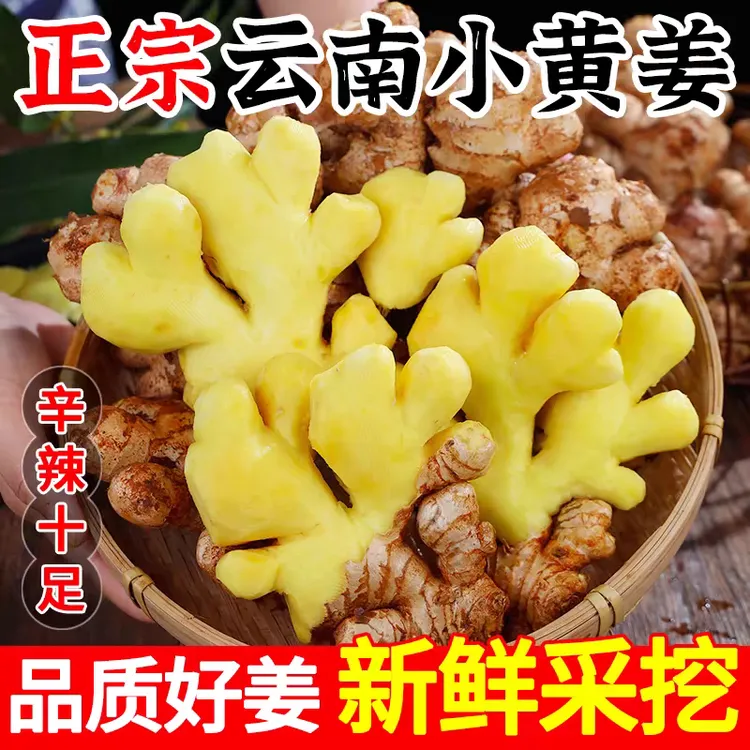 小黄姜正宗嫩姜新鲜生姜泡姜菜嫩姜小黄姜云南高山小黄姜