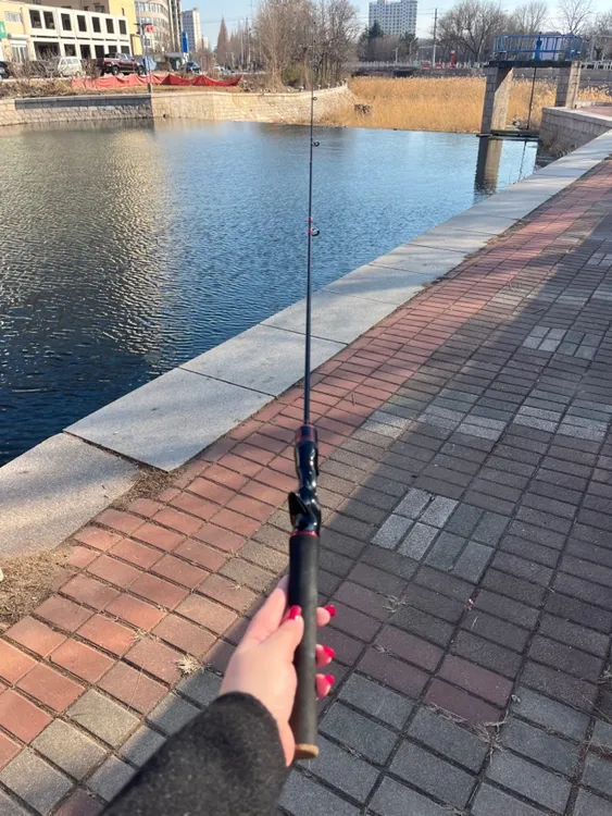 微物银河二代马口竿