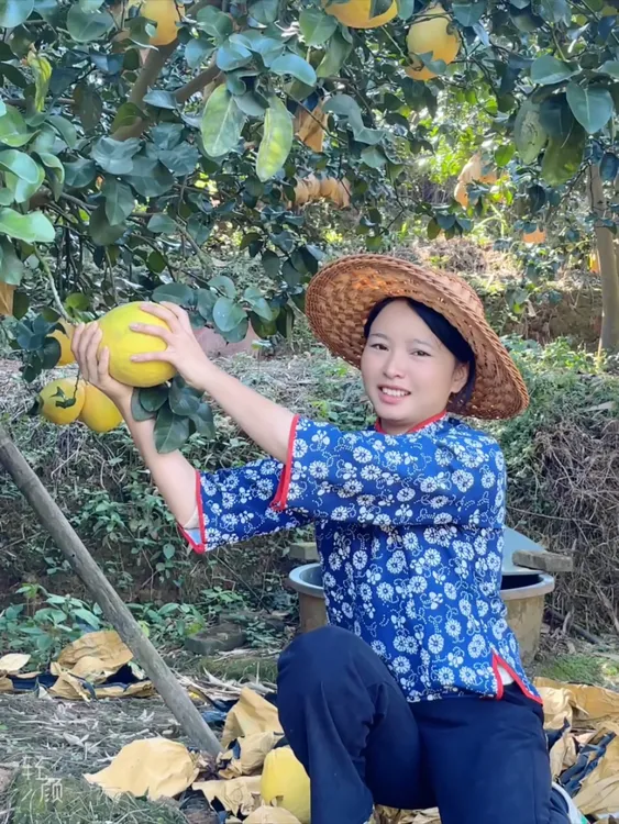 正宗广西容县自良沙田柚