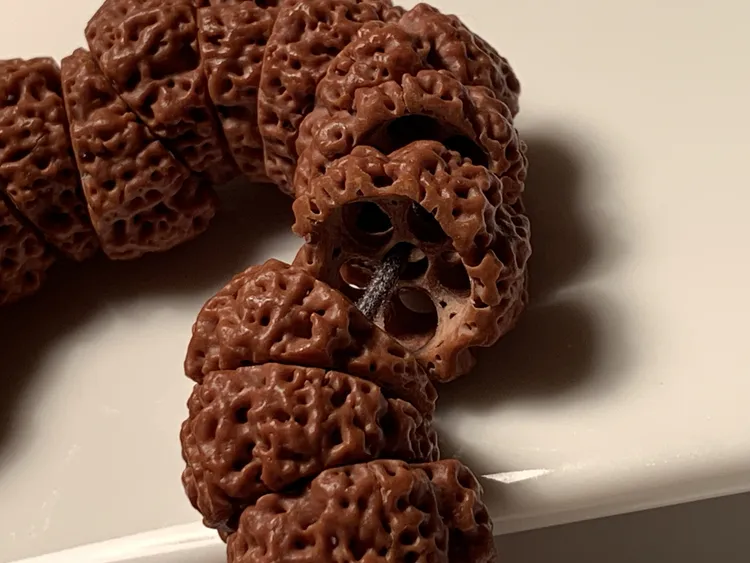 【金刚大肠—龙祖】尼泊尔文玩爆肉金刚佛珠盘玩手持男女