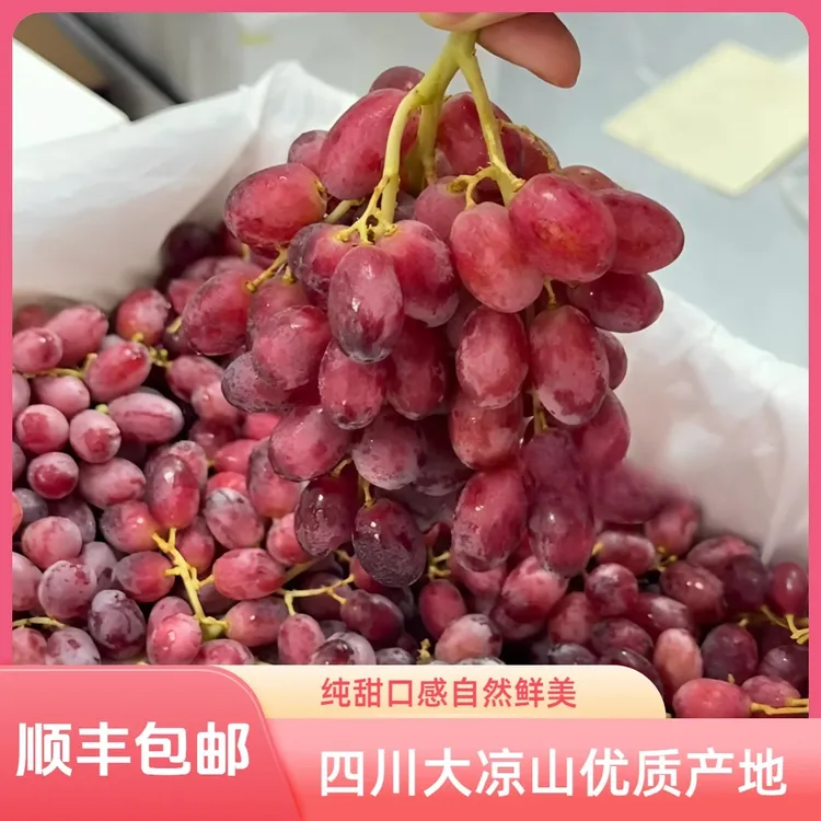 顺丰正宗小蜜蜂克伦生葡萄新鲜新疆无籽脆甜无核红宝石提孕妇水果