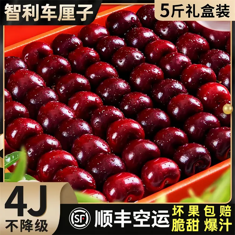 5斤特级果王拉宾斯J-5J智利车厘子海运脆甜爆汁 内附果径卡