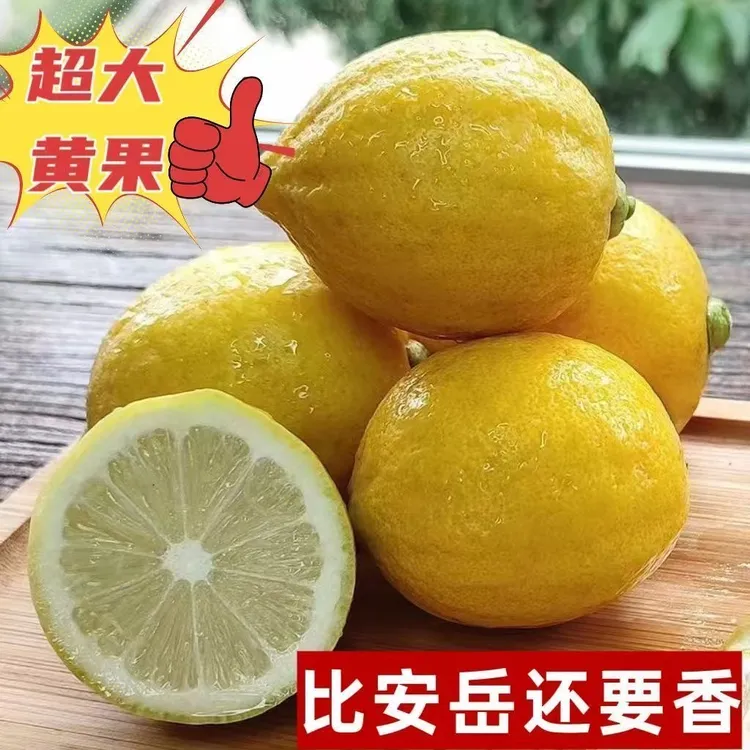 黄果新鲜香水柠檬比安岳香广东正宗当季新鲜无籽黄果泡水榨汁商用