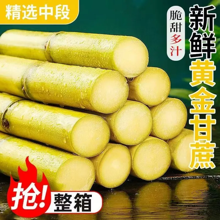 云南新鲜甘蔗脆皮特甜甘蔗黄金甘蔗现砍现发脆甜多汁当季水果z