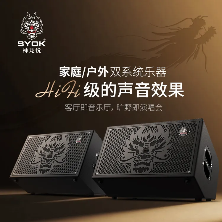 SYOK神龙S10对箱1000瓦大功率K歌直播弹唱一体机