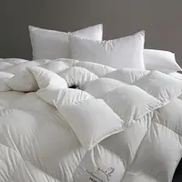 【仁汇优品C】皇冠倾元羽绒被