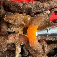 1【X-尾-七】净含量：250-2000g【阿祖现收】菌