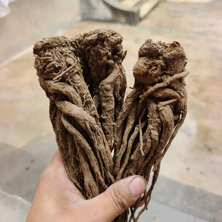 甘肃高原高山岷县当归新货7-9成干包邮滋补养生