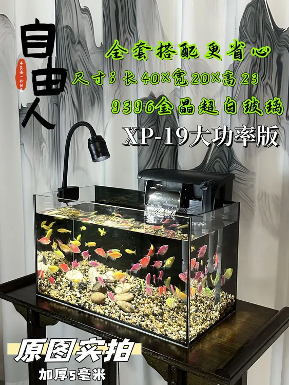 【全套发货】40×20×23超白玻璃鱼缸加厚5毫米瀑布过滤全套发货