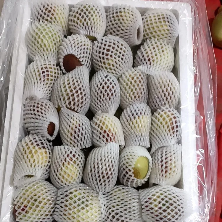 冬蟠粹枣，新鲜现摘脆甜多汁基地直发