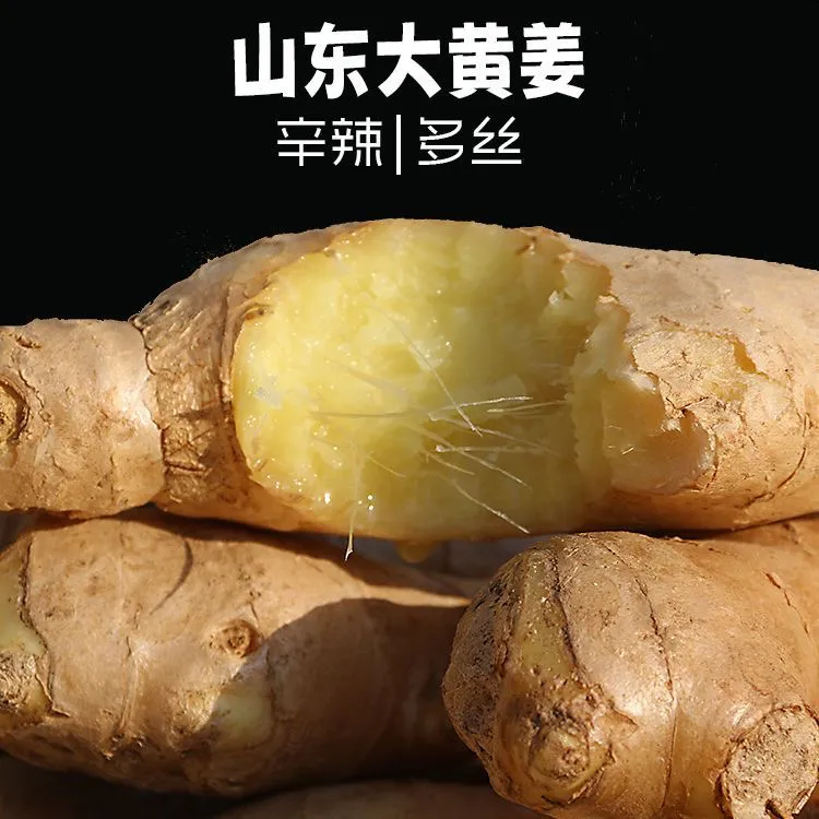 山东泥土黄姜指头辛辣够味可调味的优质蔬菜姜