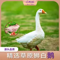 北鹅 东北大鹅 5.2-5.5斤 福袋鹅