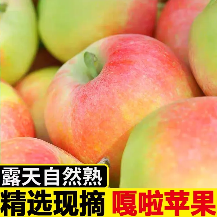 正宗嘎啦苹果当季新鲜果味水果浓郁张艺兴刀马舞