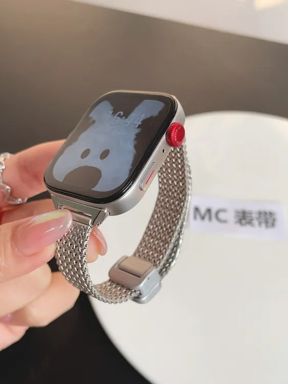 MC表带适用华为fit4手表麦穗磁吸fit3华为手环10/9/8金属4pro腕带