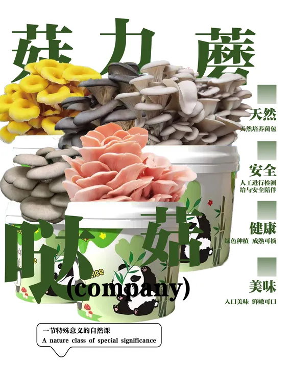 蘑菇桶蘑菇种植菌包家庭室内种植科学实验儿童益智玩具平菇