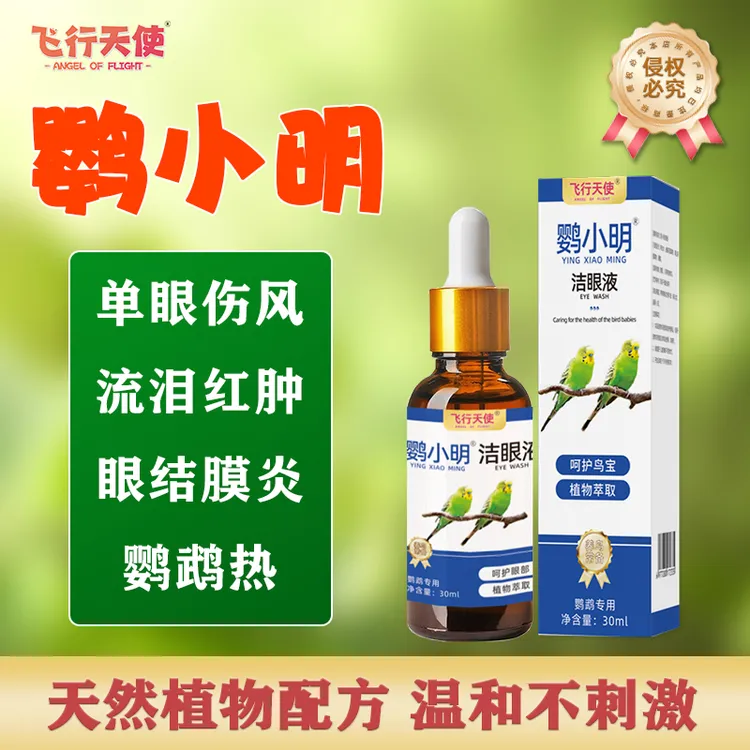 飞行天使鹦小明洁眼液鹦鹉单眼伤风眼睛红肿玄凤虎皮结膜炎鹦鹉热
