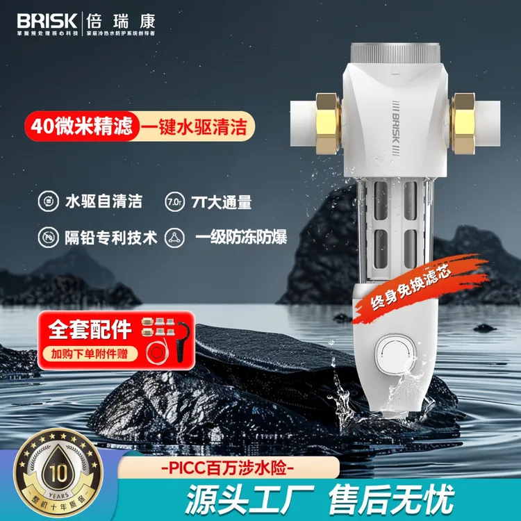 BRISK/倍瑞康前置过滤器全屋7T大流量316L不锈钢自清洁防爆