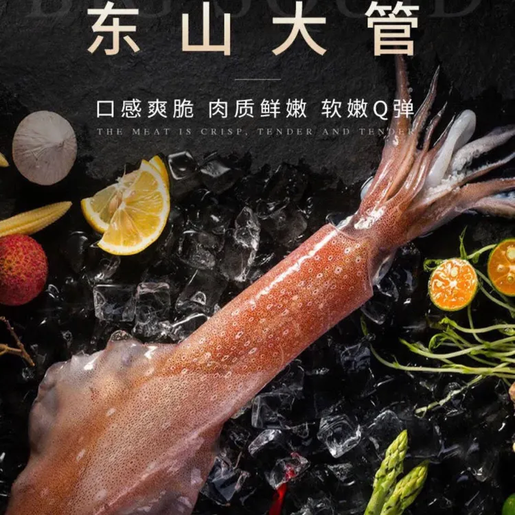 福建东山海钓活冻火箭鱿鱼大管枪鱿鱼白灼清蒸爆炒美味可口