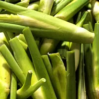 【顺丰快递】本地老品种茭白 肉质紧实 风味浓郁