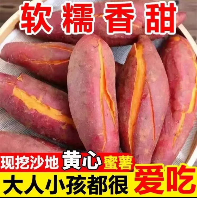 正宗西瓜红沙地蜜薯红皮红心新鲜红薯番薯地瓜无筋无丝产地直接发