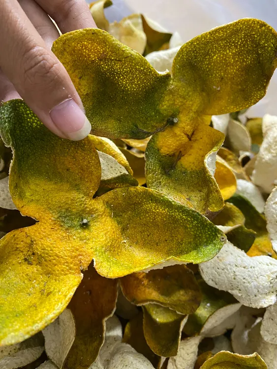 2025年新会天马圈枝二红皮原材料批发正宗自然生晒