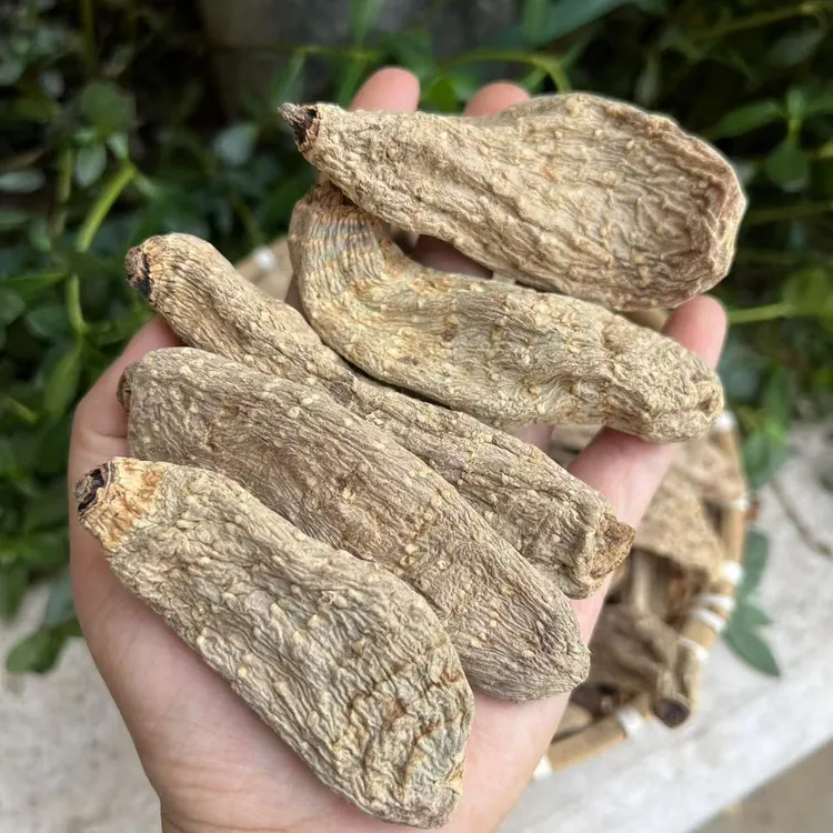 云南农家特产【乌天麻】可代切片 代磨粉