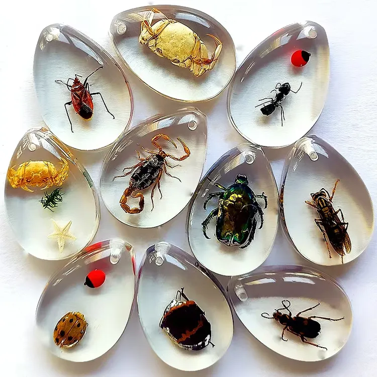 昆虫标本琥珀透明白底树脂男女老少喜欢款式佩戴挂件