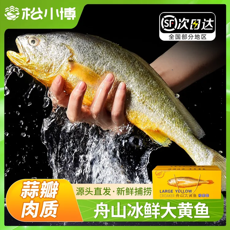 正宗舟山大黄鱼冰鲜冷冻黄花鱼海鲜生鲜特产礼盒顺丰送礼过节礼包