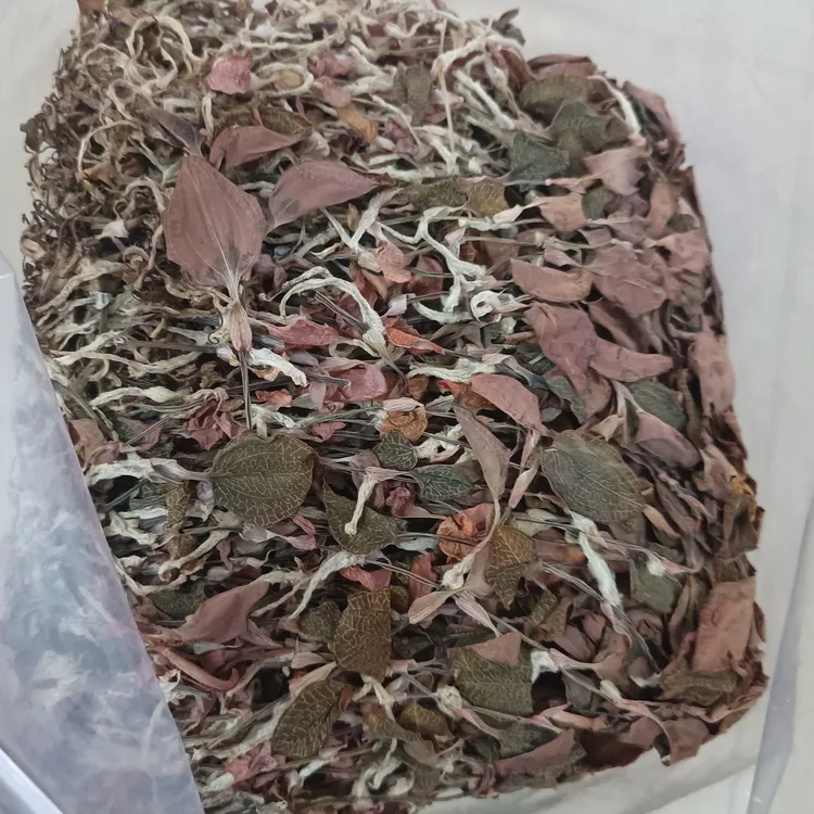 农产品根叶混合半斤干品佛冈时时好运金线莲