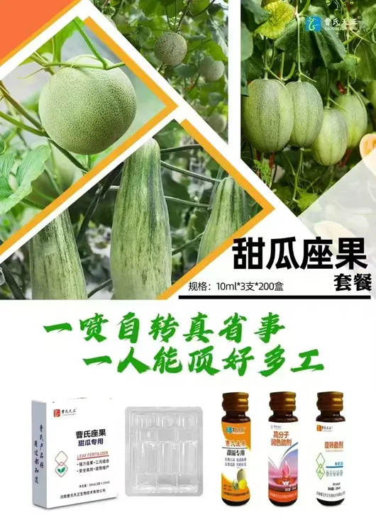 甜瓜三元组合装座果灵强力座果无需沾花甜瓜专用