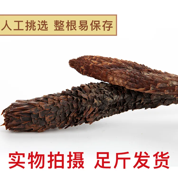 新疆荒漠肉苁蓉全国包邮