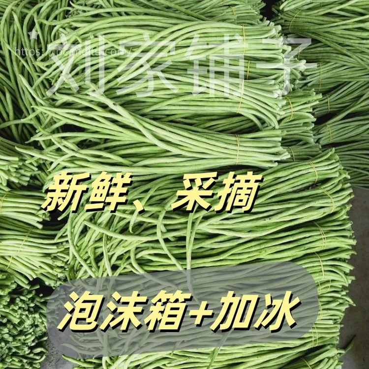 新鲜豆角豇豆农家种植现摘现发嫩豆橛子农村小菜园长豆角