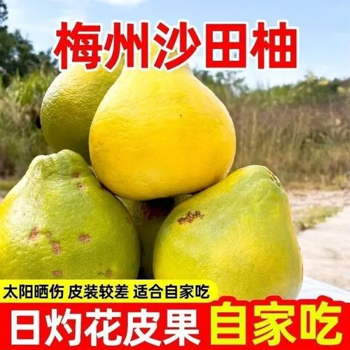 【特惠】梅州沙田柚花皮果小果长柄果经济实惠