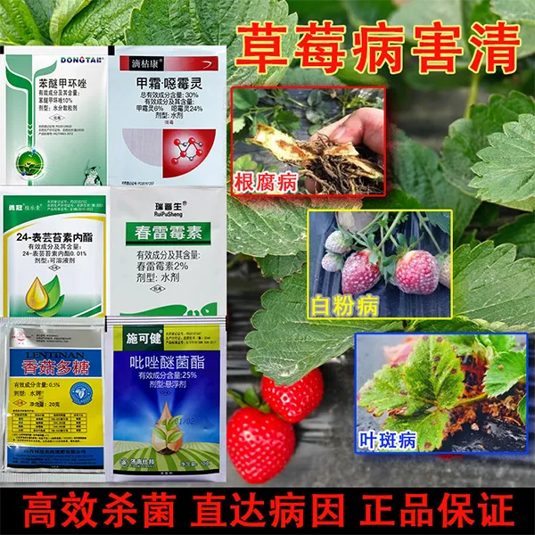 草莓病菌清杀菌套餐灰霉炭疽根腐褐斑白粉病立枯正品农药批发