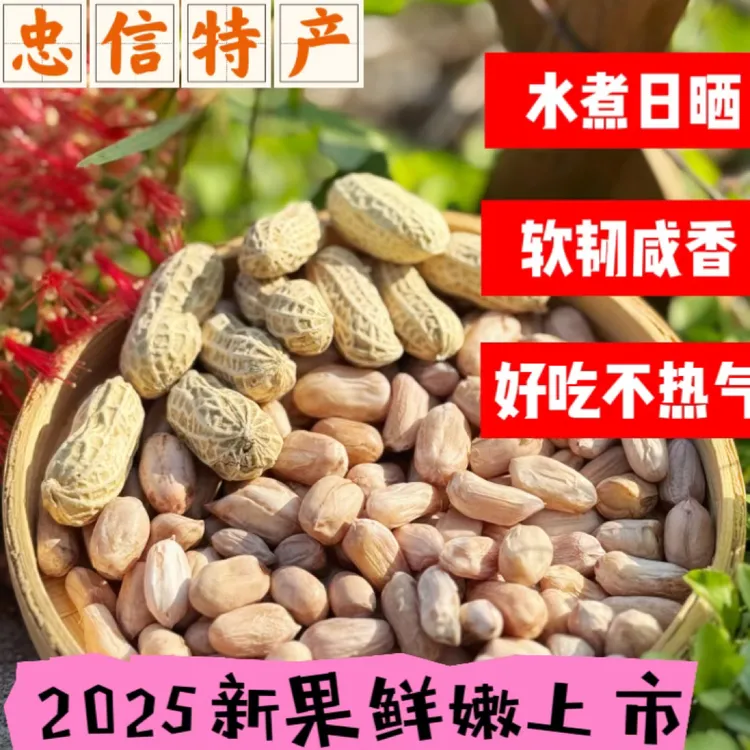 河源客家水煮白晒忠信咸干带壳熟花生不硬不脆软口有韧劲休闲零食