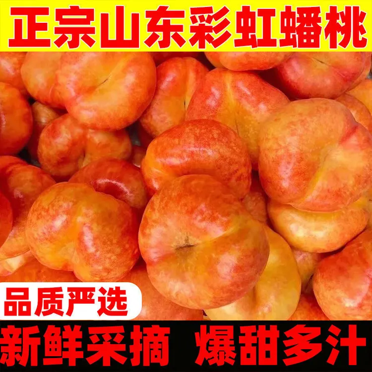 正宗山东蒙阴彩虹蟠桃纯甜大果新鲜水果黄油盘蟠桃无桃毛精品