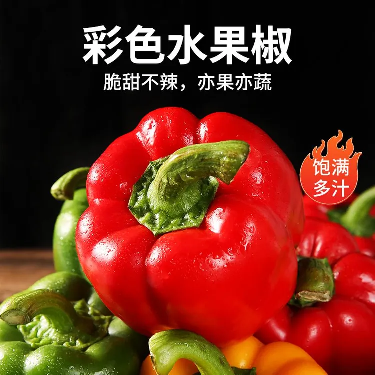 山东寿光新鲜彩椒五彩灯笼甜椒1/3/5斤七彩辣椒新鲜现摘包邮好吃