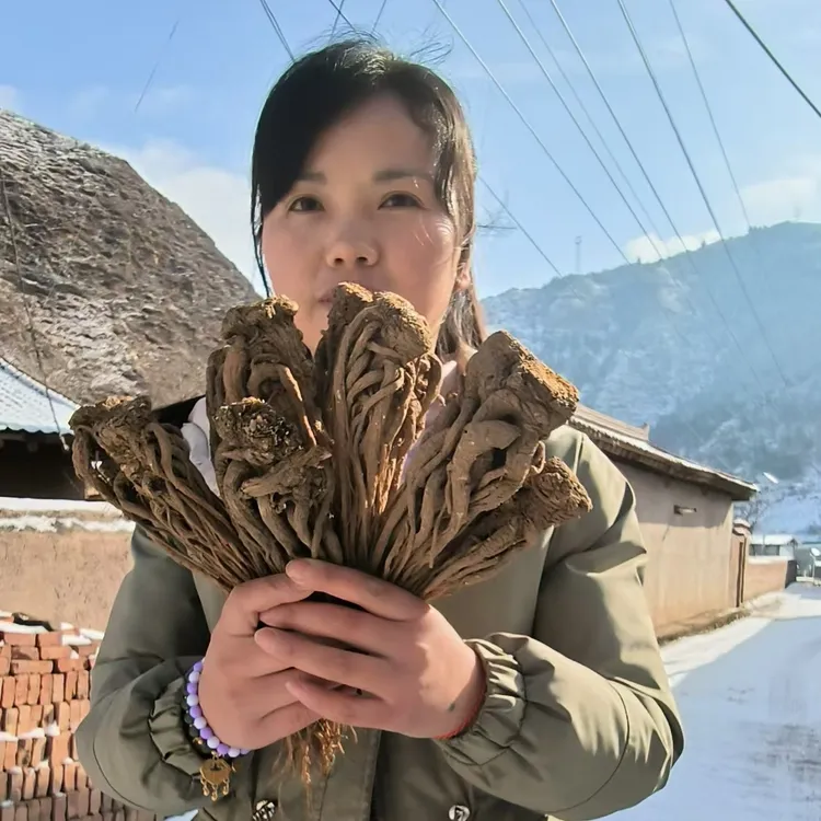 甘肃岷县原产地正宗整条当归250-500克(无熏硫干货)