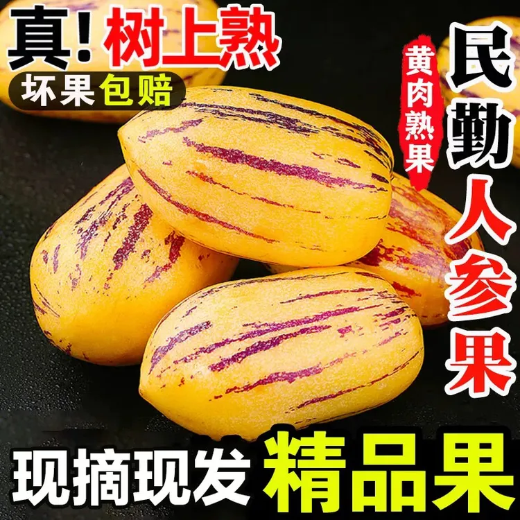 甘肃民勤沙漠人参果黄肉人生果新鲜应季产地直发5斤带箱