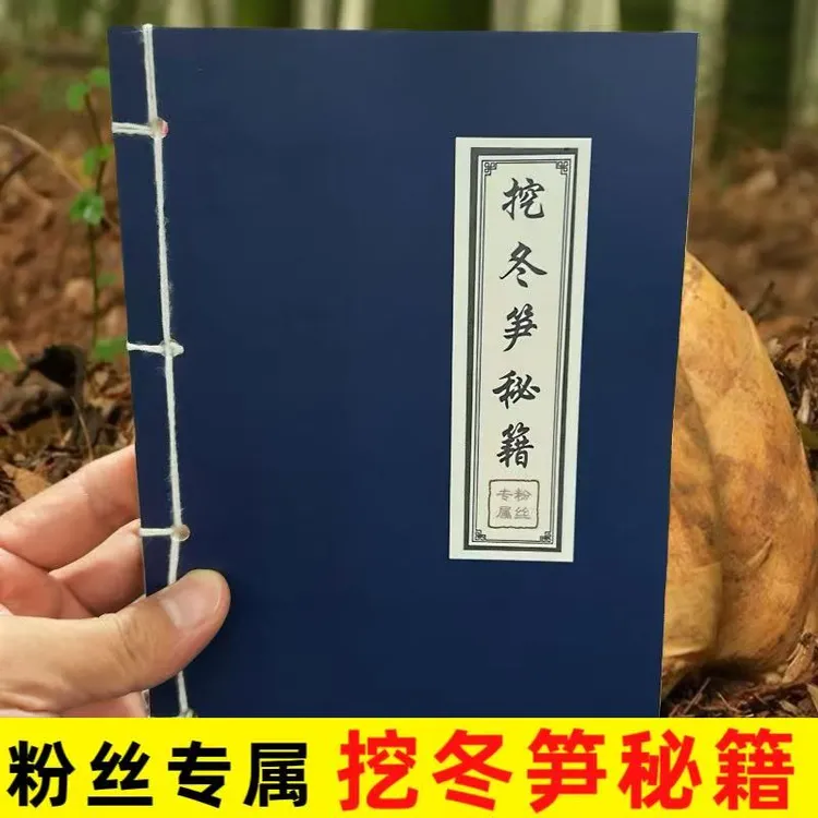 【挖冬笋秘籍】农家阿康同款简单易学34招挖笋技巧笔记本本册