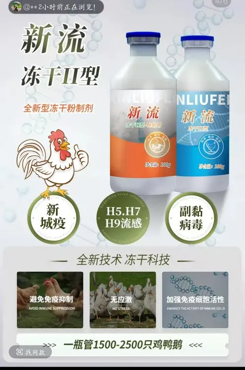 流感新城疫一瓶管1500只预防用一天提抗体补苗