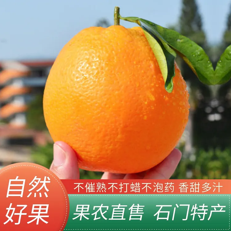 橙子新鲜水果产地直发当季热卖纽荷尔脐橙低热量非赣南脐橙