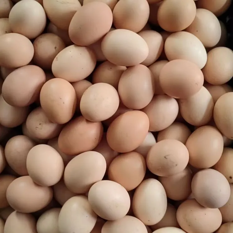 【顺丰包邮】农家土鸡蛋跑山鸡老百姓自产自销30枚