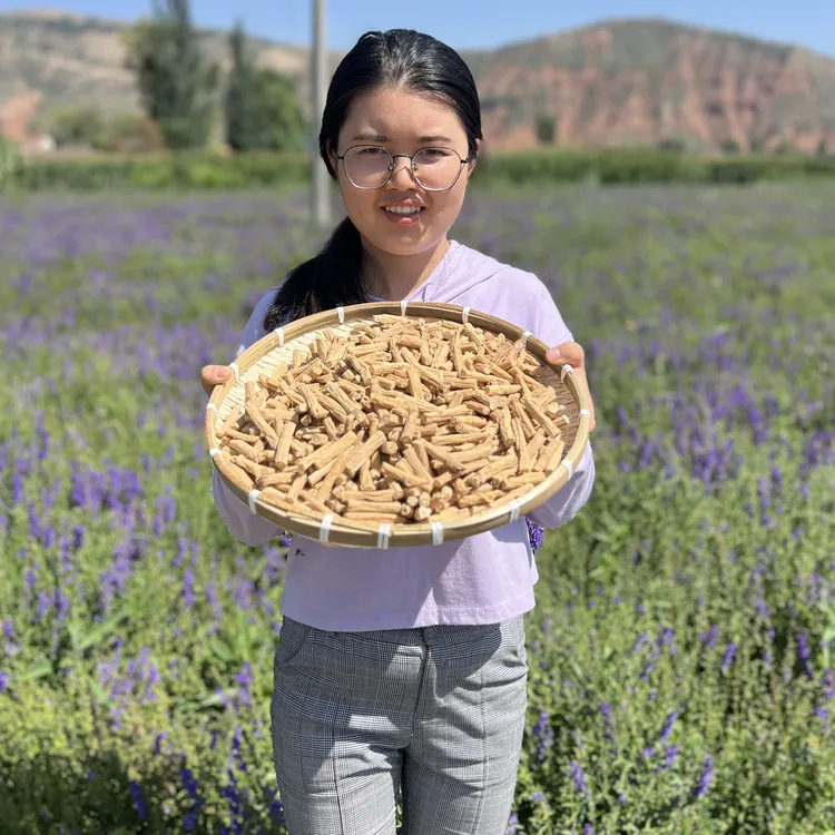 【精选党参中心段】原产地正宗甘肃陇西无硫干货可搭配黄芪当归煲汤