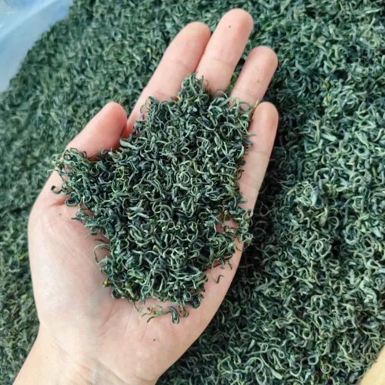 2025新茶正宗高山云雾绿茶手工制作浓香型茶叶