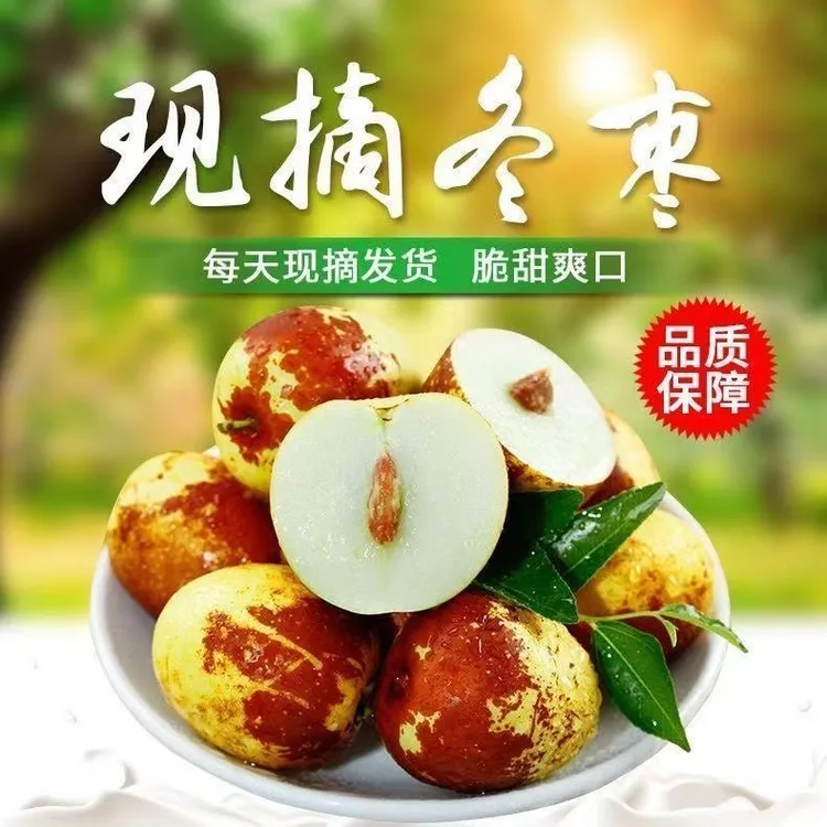 山东沾化冰糖冬枣脆甜多汁自然成熟新鲜现摘冬枣脆甜皮薄